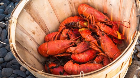 Exploring Coastal Maine: Lobsters, Lighthouses and Hidden Inlets